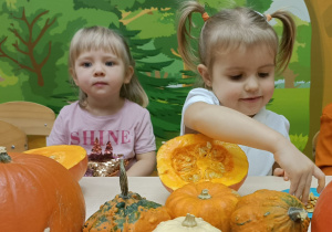 W krainie dyni – jesienna przygoda trzylatków