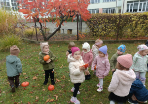 W krainie dyni – jesienna przygoda trzylatków