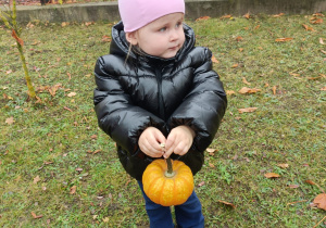 W krainie dyni – jesienna przygoda trzylatków