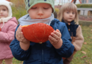 W krainie dyni – jesienna przygoda trzylatków