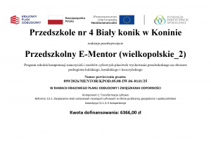 E-mentor