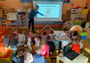 „Jestem przyjacielem drzewa” – projekt edukacyjny w grupie VII