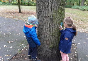 „Jestem przyjacielem drzewa” – projekt edukacyjny w grupie VII