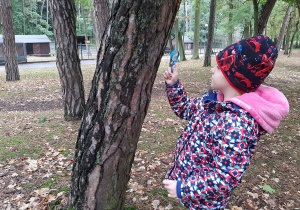 „Jestem przyjacielem drzewa” – projekt edukacyjny w grupie VII