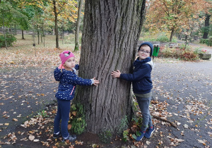 „Jestem przyjacielem drzewa” – projekt edukacyjny w grupie VII