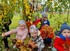 W kolorach jesieni - projekt edukacyjny w grupie X