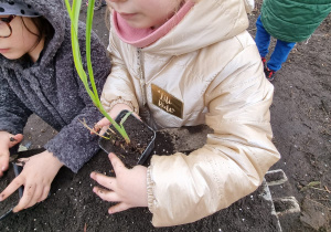 Zielona zajezdnia na Dzień Ziemi