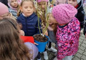 Zielona zajezdnia na Dzień Ziemi