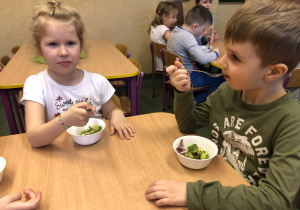 "Z przyrodą za pan brat" - projekt edukacyjny cz. 2 w gr. V