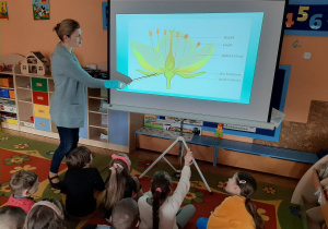 „Co wyrośnie z naszych cebulek?" – projekt edukacyjny w grupie VII