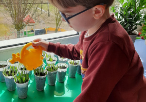 „Co wyrośnie z naszych cebulek?" – projekt edukacyjny w grupie VII