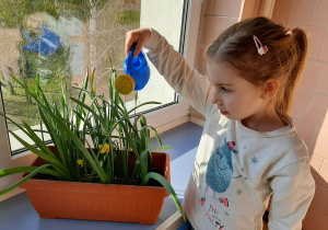 „Co wyrośnie z naszych cebulek?" – projekt edukacyjny w grupie VII