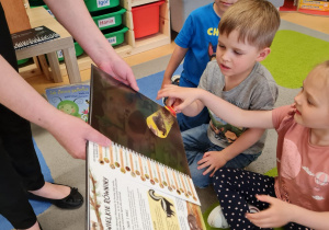 Książki i książeczki z bibliotecznej półeczki – grupa X