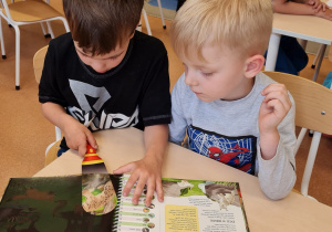 Książki i książeczki z bibliotecznej półeczki – grupa X