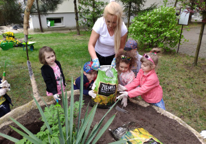 Kosz pełen bratków – grupa I