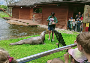 Wycieczka do ZOO Safari w Borysewie- gr. III i IV