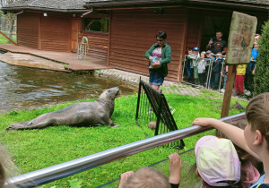 Wycieczka do ZOO Safari w Borysewie- gr. III i IV