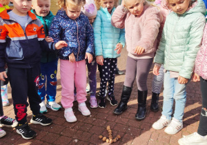 „PRZEDSZKOLAKI W TERENIE- MIEJSKA EDUKACJA OUTDOROWA”- gr. XII i XII