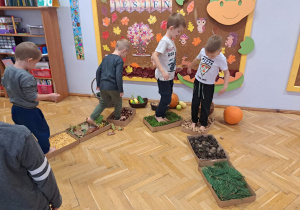 Projekt Edukacyjny "Jak wygląda Pani Jesień"