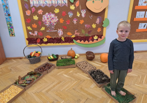 Projekt Edukacyjny "Jak wygląda Pani Jesień"