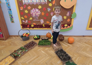 Projekt Edukacyjny "Jak wygląda Pani Jesień"