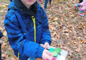 Projekt Edukacyjny "Jak wygląda Pani Jesień"