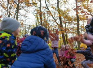 Projekt Edukacyjny "Jak wygląda Pani Jesień" gr. VI