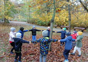 Projekt Edukacyjny "Jak wygląda Pani Jesień"