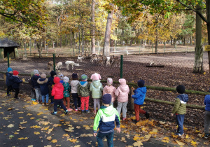 Edukacyjna wycieczka do parku – gr. IV