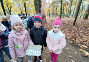 Projekt edukacyjny „Śladami jesieni” w gr. VII