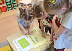 Skąd się biorą produkty ekologiczne? – projekt edukacyjny w grupie X