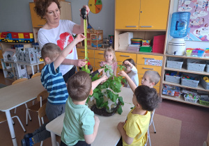 "Zielony ogródek parapetowy" –projekt edukacyjny w grupie IX