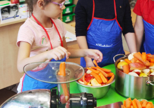 "Skąd się biorą produkty ekologiczne?"- program edukacyjny w gr. XII