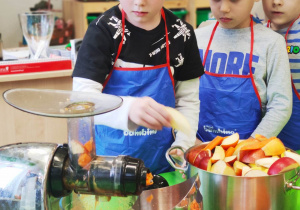 "Skąd się biorą produkty ekologiczne?"- program edukacyjny w gr. XII