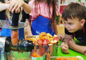 "Skąd się biorą produkty ekologiczne?"- program edukacyjny w gr. XII
