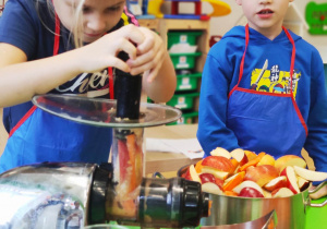 "Skąd się biorą produkty ekologiczne?"- program edukacyjny w gr. XII