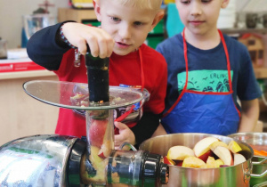 "Skąd się biorą produkty ekologiczne?"- program edukacyjny w gr. XII