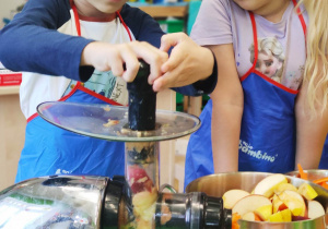"Skąd się biorą produkty ekologiczne?"- program edukacyjny w gr. XII