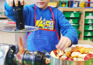 "Skąd się biorą produkty ekologiczne?"- program edukacyjny w gr. XII