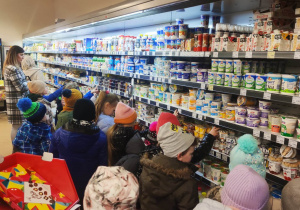 "Skąd się biorą produkty ekologiczne?"- program edukacyjny w gr. XII