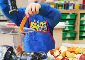 "Skąd się biorą produkty ekologiczne?"- program edukacyjny w gr. XII