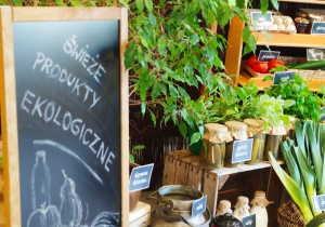 "Skąd się biorą produkty ekologiczne?"- program edukacyjny w gr. XII