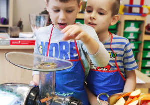 "Skąd się biorą produkty ekologiczne?"- program edukacyjny w gr. XII