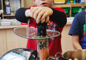 "Skąd się biorą produkty ekologiczne?"- program edukacyjny w gr. XII