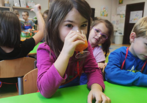 "Skąd się biorą produkty ekologiczne?"- program edukacyjny w gr. XII