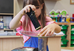 "Skąd się biorą produkty ekologiczne?"- program edukacyjny w gr. XII