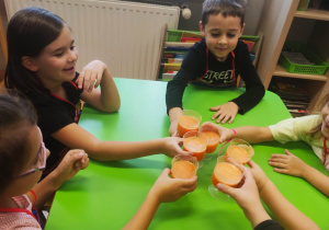 "Skąd się biorą produkty ekologiczne?"- program edukacyjny w gr. XII