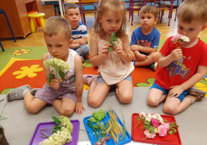 „TO JUŻ LATO” - Innowacja Pedagogiczna w grupie II