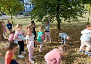 Leśna wycieczka badawcza otwiera projekt grupy II „Jesień króluje w przyrodzie”