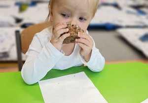 "Jak smakuje jesień...?", czyli owoce i warzywa kulinarnie w gr. XII